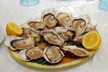 Plateau d'huitre