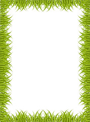 illustration  grass  4