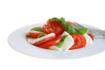 Tomate-Mozzarella - Sommergericht