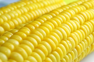 Corn Kernels