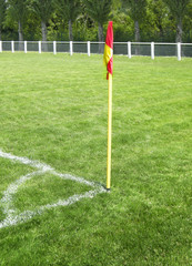 Fototapeta premium foot