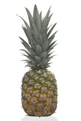 Ananas