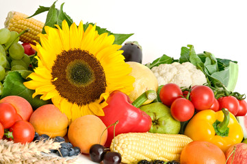 Sonnenblume inmitten von Obst und Gemüse