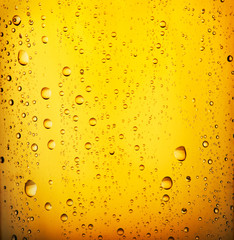 Cold beer