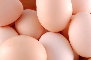 chicken eggs