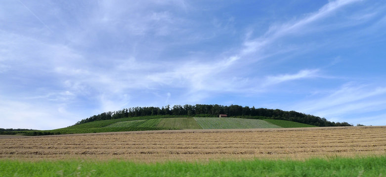 Felder und Weinberg