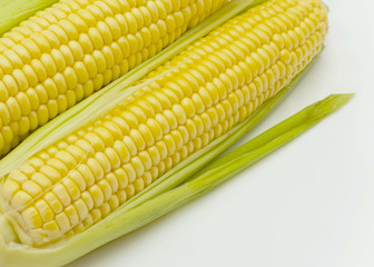 Corn