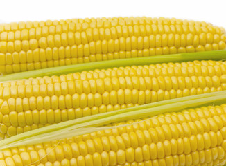 Corn