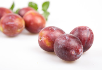 isolated plum