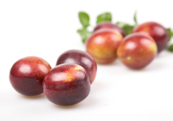 plum