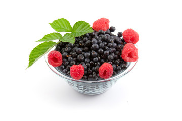 Berries: raspberries and bilberries