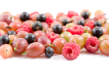 Berries: raspberry, gooseberry and currant isolated
