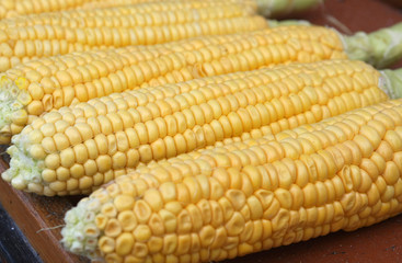 Corn