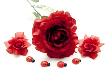 Rote Rosen