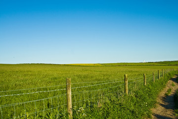 Pathway near meadow
