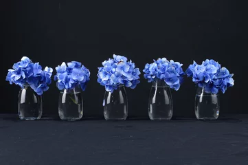 Crédence de cuisine en verre imprimé Hortensia Une rangée de fleur d& 39 hortensia dans un vase sur fond noir