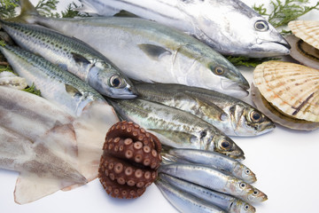 鮮魚