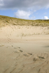 Dune with sky background