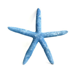Starfish isolated on white background