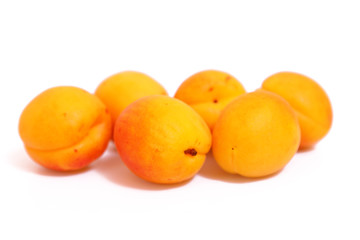 aprikosen