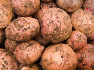 Abstract background from potato tubers