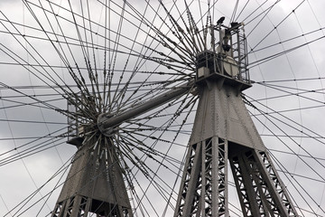 Riesenrad in Wien