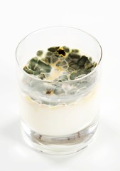 Milk mould