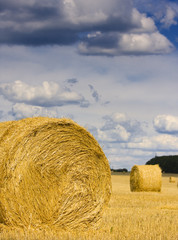 round bale of straw in the meadow