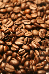 CAFE en rivière de grains