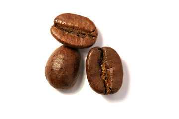 CAFÉ - Trois grains détourés