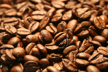 Naklejka premium Ziarna kawy