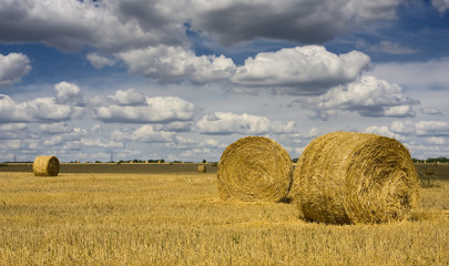 a big round bale of straw  in the meadow