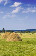 Hay pile in the meadow