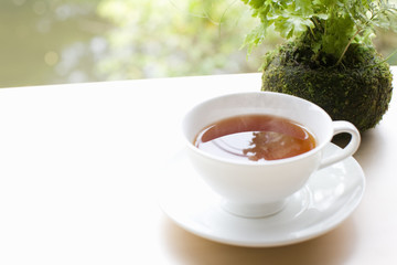 紅茶