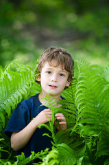 boy outdoors in green ferns
