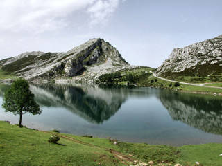 Parque Nacional Picos da Europa