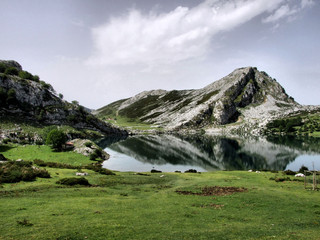 Parque Nacional Picos da Europa