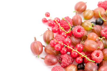 Berries: raspberry, gooseberry and currant isolated