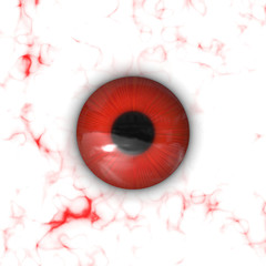 Eye