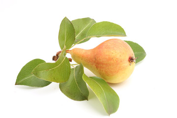 pear