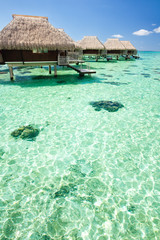 Over water bungalow with steps into green lagoon