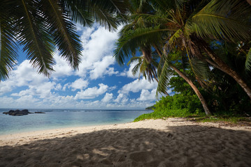 relax in the shadow on the beach