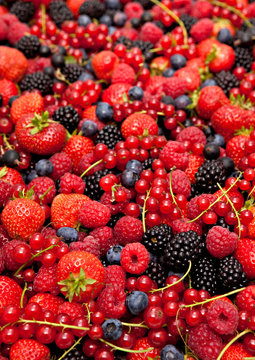 berries in abundance
