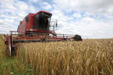Machine harvesting