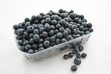 Heidelbeeren