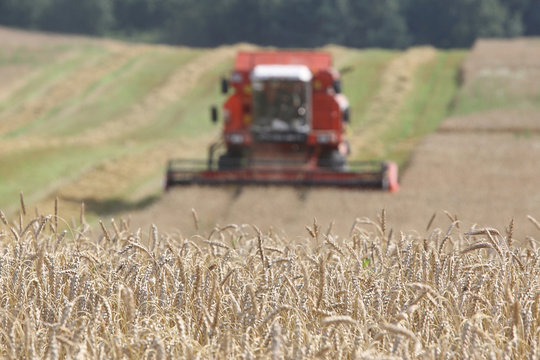 Machine harvesting