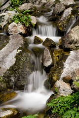 Clean ecological nature and water.