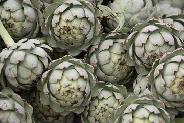Fototapeta premium artichauts