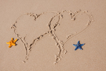 Beach compositions. Shells on sand