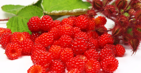 Raspberries on a white background